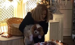 Köpeğinin doğum gününü böyle kutladı!
