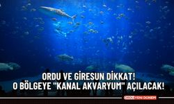 Ordu ve Giresun Dikkat! O bölgeye "Kanal Akvaryum" açılacak!