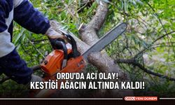 Ordu'da acı olay! Kestiği ağacın altında kaldı!