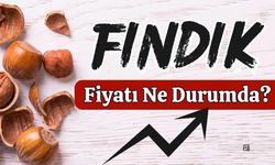 Ordu'da bugün fındık fiyatı kaç lira? 8 Aralık Cuma fındık fiyatları