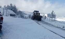 Samsun'da kar nedeniyle kapanan 42 mahalle yolu ulaşıma açıldı