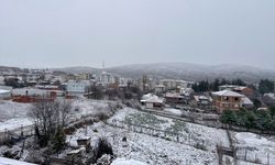 Sinop'un ilçelerinde kar yağışı etkili oldu