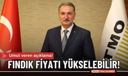 TMO, Fındıkta Fiyat Düşüşüne Müdahale Edecek!