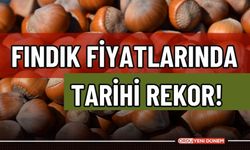 Fındık Fiyatı 5 TL Yükseldi! Ordulu üreticinin yüzü gülecek!