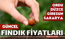 FİSKOBİRLİK FİYATI YÜKSELTTİ, ÜRETİCİNİN İŞİNE GELDİ! FINDIK FİYATI 120 TL'Yİ GEÇER! 20 Ocak 2024 fındık fiyatı