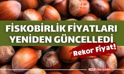 Fındık 120 TL'yi aşıyor! Fiskobirlik rekor zam yaptı! Bugün fındık kaç tl?