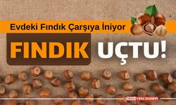 13 Ocak 2024 Fındık Fiyatı! İl il ORDU, DÜZCE, SAKARYA fındık kaç tl?