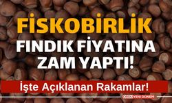 Fındıkta Rekor Zam! İl il Ordu, Samsun, Giresun, Düzce, Sakarya fındık fiyatları belli oldu!