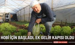 Hobi için başladı, ek gelir kapısı oldu