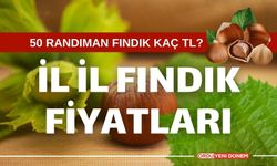 11 Ocak Perşembe serbest piyasa fındık fiyatları? 50 randıman fındık fiyatları ne kadar?