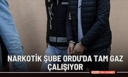 Narkotik şube Ordu'da tam gaz çalışıyor