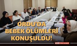 Sağlık Müdürlüğünün Hedefi Ordu'da Sıfır Bebek Ölümü