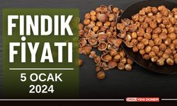 Fındık Fiyatı Can Kazandı! Ordu fındık fiyatı 5 Ocak 2024