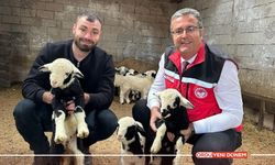 Ordu'da Tarım ve Hayvancılık Durmuyor! İl Müdürü Kemal Yılmaz Sahada