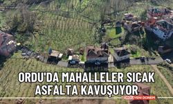 Ordu'da mahalleler sıcak asfalta kavuşuyor