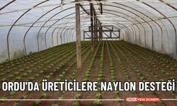 Ordu'da üreticilere naylon desteği