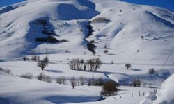 2 bin 350 rakımlı köyde kar kalınlığı 4 metreye ulaştı