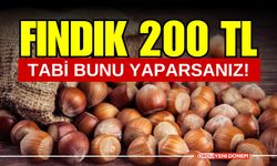 Fındık 200 TL Olacak! Tabi Bunu Yaparsanız!