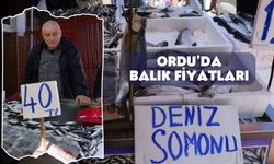 Tezgahlarda Son Demler! Ordu'da Balık Fiyatları!