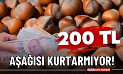 200 TL'den Aşağısı Kurtarmıyor! 12 Şubat 2024 il il fındık fiyatları