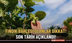 Fındık bahçesi olanlar dikkat! Son tarih açıklandı!