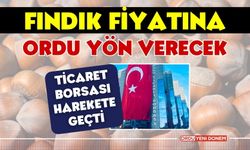 Fındıkta Rekabet Artacak, Fiyatlar Yükselecek!