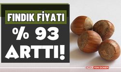 Fındıkta Fiyat Arttıkça Üretici Bahçesine Küstü! İşte Nedeni!