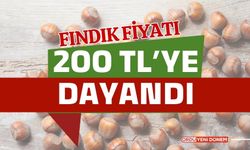 200'e az kaldı! Ordu, Giresun, Trabzon, Düzce Fındık Fiyatı 26 Şubat 2024