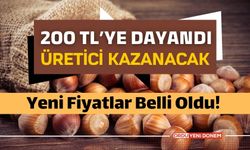 200 TL'yi Zorluyor! Yeni Sezona Umutlandıran Gelişme! 1 Mart 2024 il il fındık fiyatları