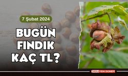 Ordu, Giresun, Trabzon, Sakarya, Düzce İl İl Fındık Fiyatları 7 Şubat 2024