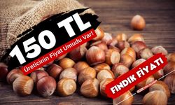 Fındık kaç tl oldu? 8 Şubat fındık fiyatları