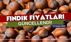 Fiyat Güncellendi! 19 Şubat 2024 fındık fiyatları