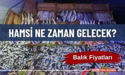 Ordu'da Balık Fiyatları? En Ucuz Balık Hangisi?