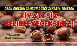 Fındıkta 200 TL fiyat hayal değil! Bunu yapan iller kazanacak!