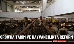 ORDU’DA TARIM VE HAYVANCILIKTA REFORM