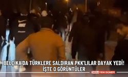 Belçika'da Türklere saldıran PKK'lılar dayak yedi!