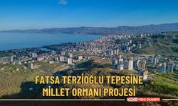 Fatsa Terzioğlu tepesine millet ormanı projesi