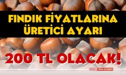 Fındık Fiyatına Büyük Zam Geliyor! İşte il il fındık fiyatları 14 Mart 2024