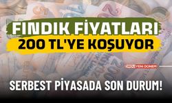 200 TL'ye Koşa Koşa Gidiyor! Yeni Fındık Fiyatları Belli Oldu!