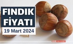 ORDU, GİRESUN, TRABZON, SAKARYA, DÜZCE İL İL FINDIK FİYATLARI 19 Mart 2024