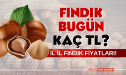 Yeni fiyatlar belli oldu! Üretici Şaşırdı! 24 Mart 2024 Fındık Fiyatları