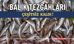 BALIK TEZGAHLARI ÇEŞİTSİZ KALDI