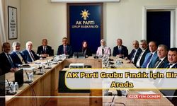 AK Parti Grubu Fındık İçin Bir Arada