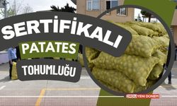 Ordu'da Sertifikalı Patates Tohumluğu