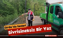 Ordu'da hedef sivrisineksiz bir yaz!