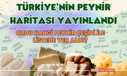 Türkiye’nin Peynir Haritası Yayınlandı! Ordu Hangi Peynir Çeşidi İle Listede Yer Aldı?