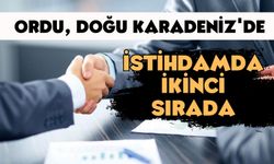 Ordu, Doğu Karadeniz'de İstihdamda İkinci Sırada Yer Aldı