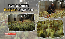 ‘Alım Garantisi’ Üretmeye Teşvik Etti