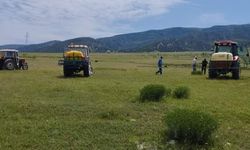 Amasya’da çekirge popülasyonu artan Kertme köyünün merasında ilaçlama yapıldı