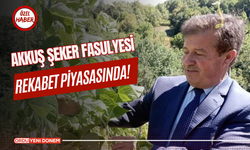 Akkuş şeker fasulyesi rekabet piyasasında!